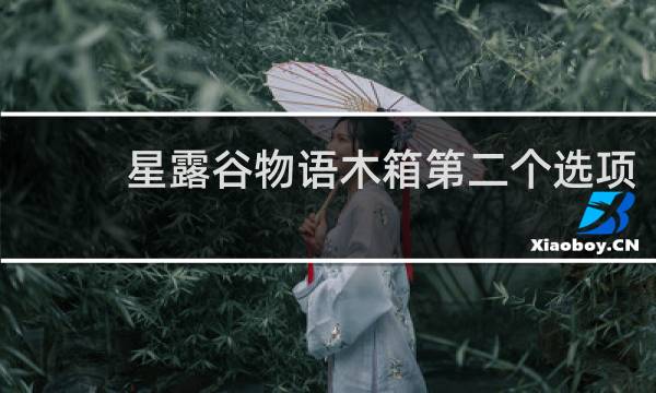 星露谷物语木箱第二个选项