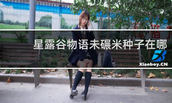 星露谷物语未碾米种子在哪