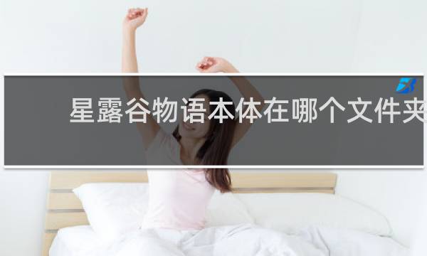 星露谷物语本体在哪个文件夹