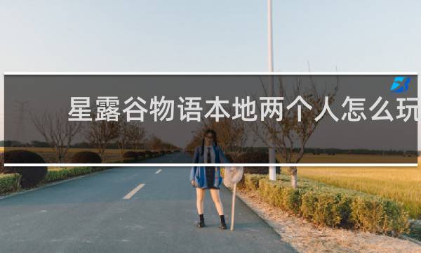 星露谷物语本地两个人怎么玩