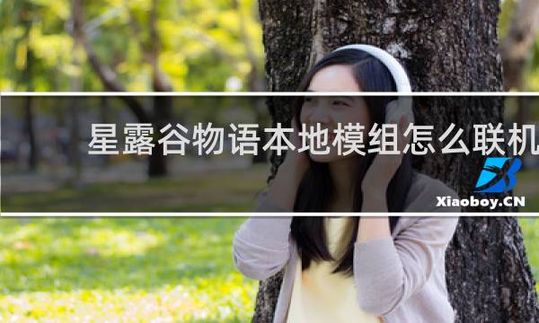 星露谷物语本地模组怎么联机