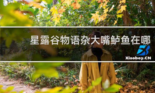 星露谷物语杂大嘴鲈鱼在哪