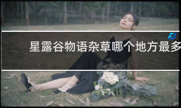 星露谷物语杂草哪个地方最多