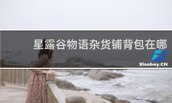 星露谷物语杂货铺背包在哪