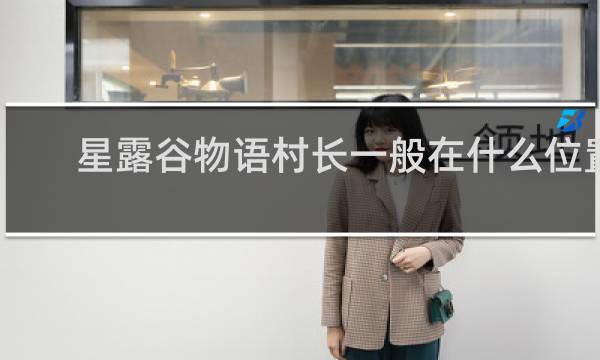 星露谷物语村长一般在什么位置