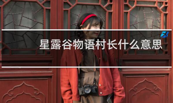 星露谷物语村长什么意思