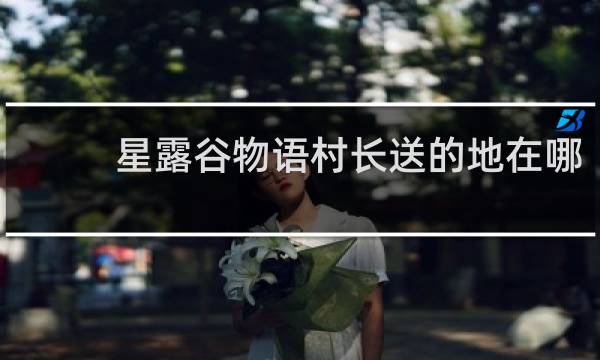星露谷物语村长送的地在哪
