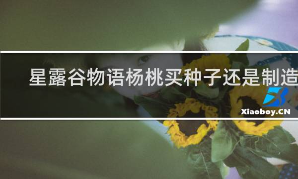星露谷物语杨桃买种子还是制造机