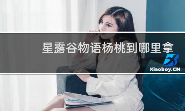 星露谷物语杨桃到哪里拿