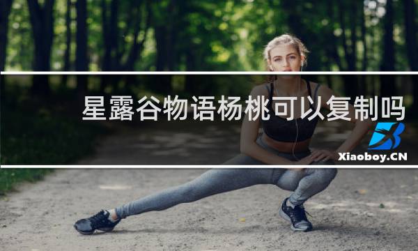 星露谷物语杨桃可以复制吗