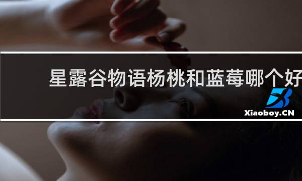 星露谷物语杨桃和蓝莓哪个好