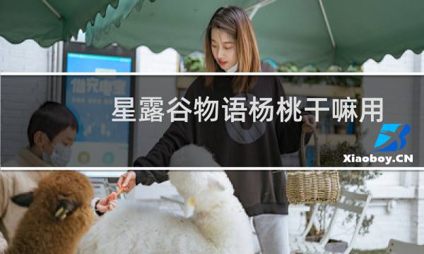 星露谷物语杨桃干嘛用