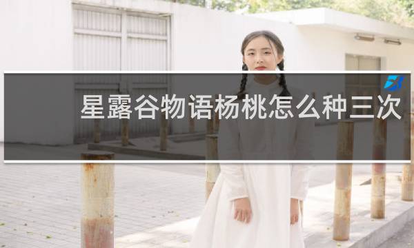 星露谷物语杨桃怎么种三次