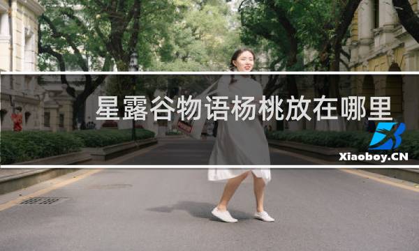 星露谷物语杨桃放在哪里