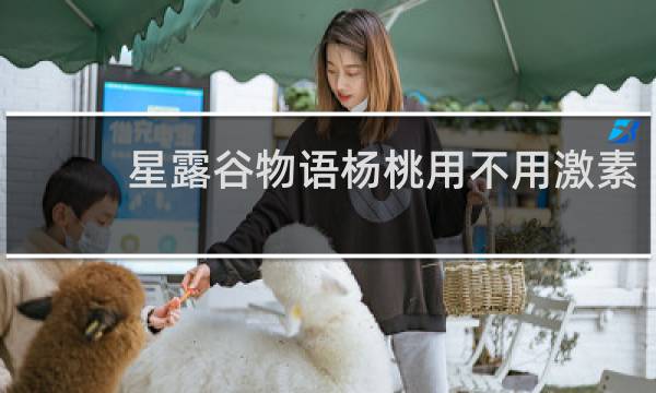 星露谷物语杨桃用不用激素