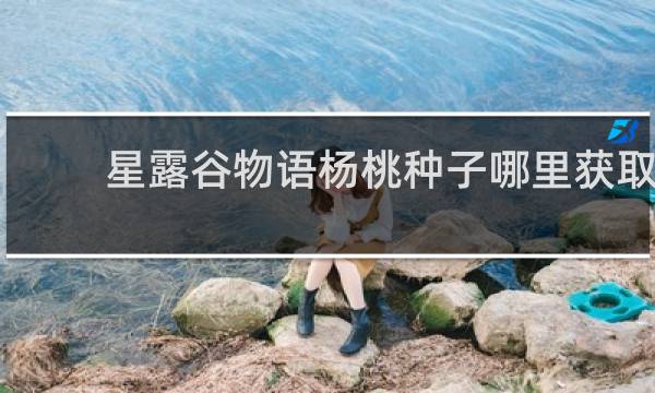 星露谷物语杨桃种子哪里获取