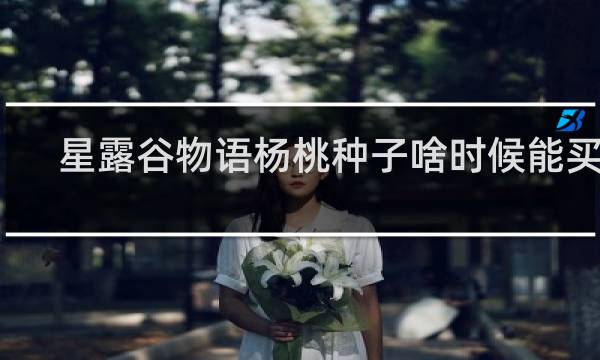 星露谷物语杨桃种子啥时候能买到