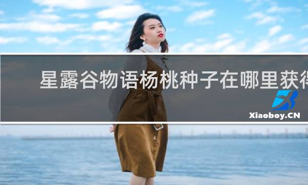 星露谷物语杨桃种子在哪里获得