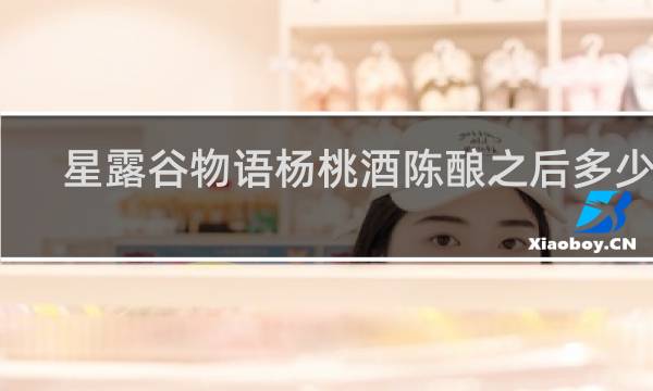 星露谷物语杨桃酒陈酿之后多少钱