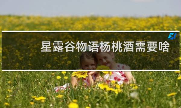 星露谷物语杨桃酒需要啥