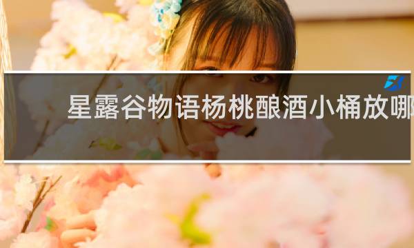 星露谷物语杨桃酿酒小桶放哪