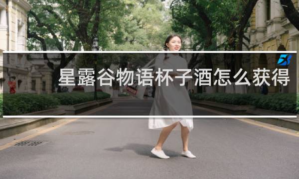 星露谷物语杯子酒怎么获得
