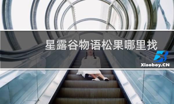 星露谷物语松果哪里找