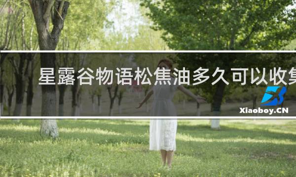 星露谷物语松焦油多久可以收集