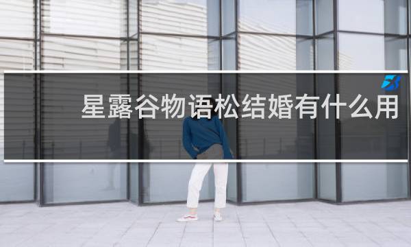 星露谷物语松结婚有什么用