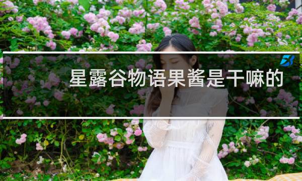 星露谷物语果酱是干嘛的