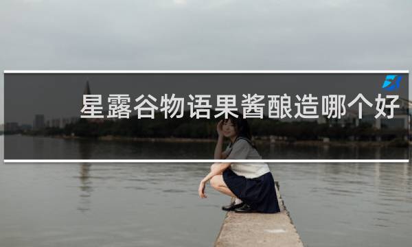 星露谷物语果酱酿造哪个好