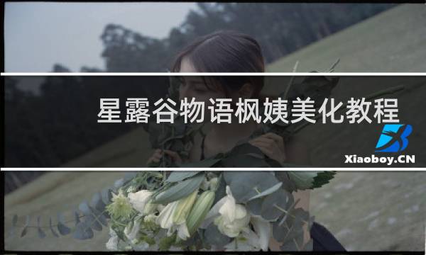 星露谷物语枫姨美化教程