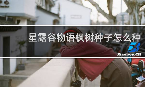 星露谷物语枫树种子怎么种