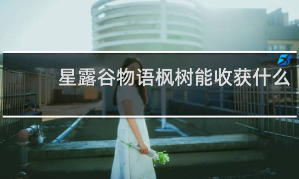 星露谷物语枫树能收获什么