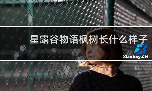 星露谷物语枫树长什么样子