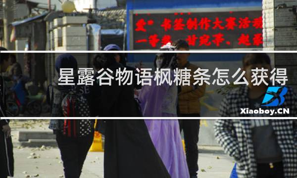 星露谷物语枫糖条怎么获得