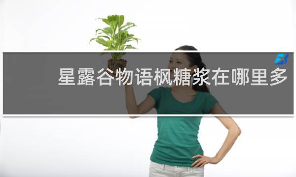 星露谷物语枫糖浆在哪里多