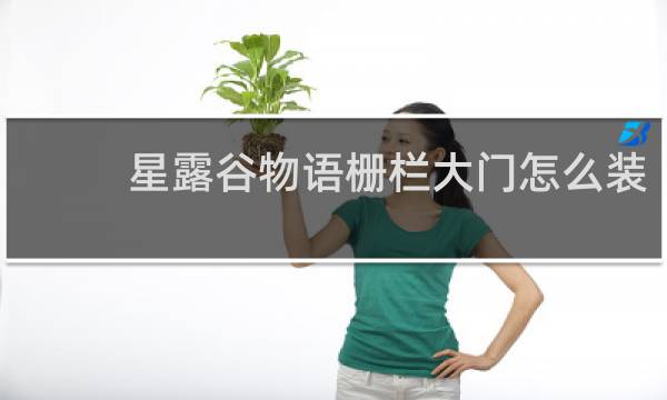 星露谷物语栅栏大门怎么装