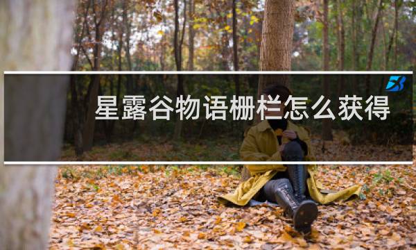 星露谷物语栅栏怎么获得