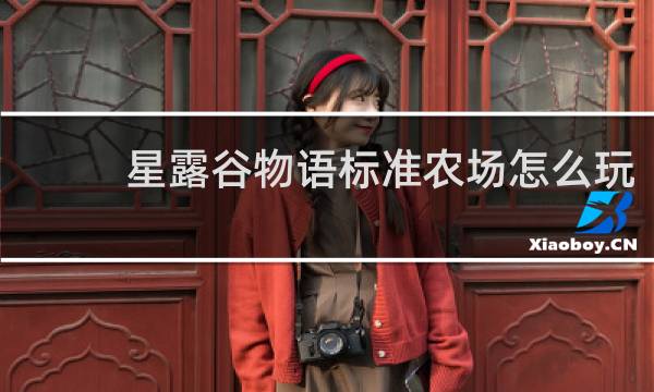 星露谷物语标准农场怎么玩