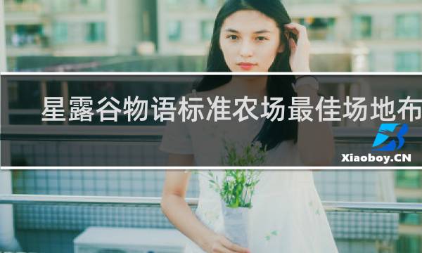 星露谷物语标准农场最佳场地布置