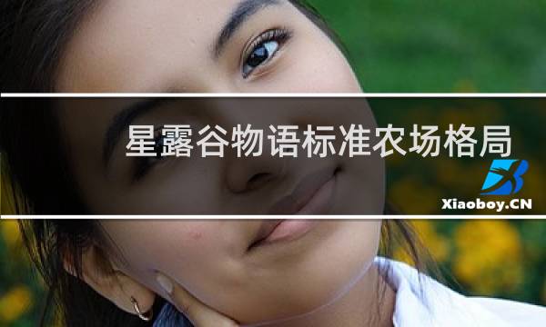 星露谷物语标准农场格局