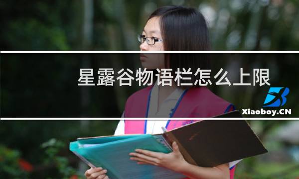 星露谷物语栏怎么上限