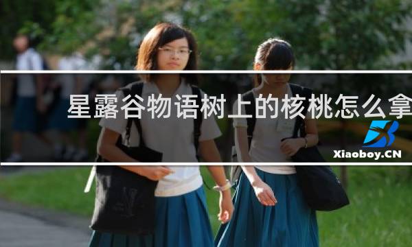 星露谷物语树上的核桃怎么拿