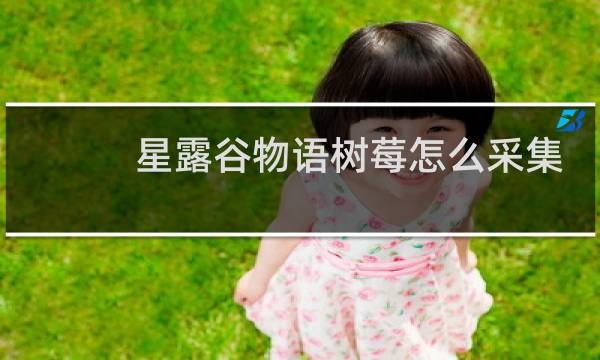 星露谷物语树莓怎么采集