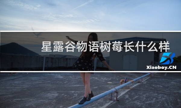 星露谷物语树莓长什么样
