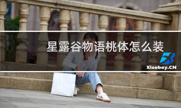 星露谷物语桃体怎么装