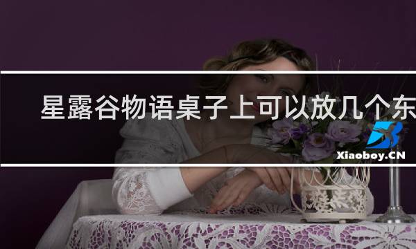 星露谷物语桌子上可以放几个东西