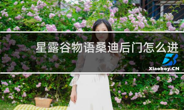 星露谷物语桑迪后门怎么进