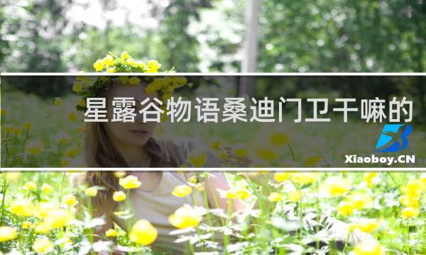 星露谷物语桑迪门卫干嘛的